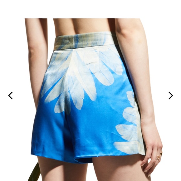 Alexis blue shorts - Picture 4 of 5